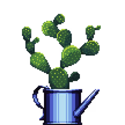 Bunny Ears Cactus in Watering Can pot