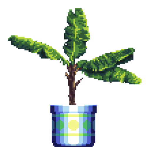 House Plants By Felt Zine