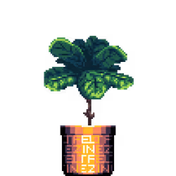 Fiddle-Leaf Fig in Large Felt Zine pot