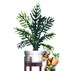 Areca Palm in Elevated Wood pot with Sexy Gnome