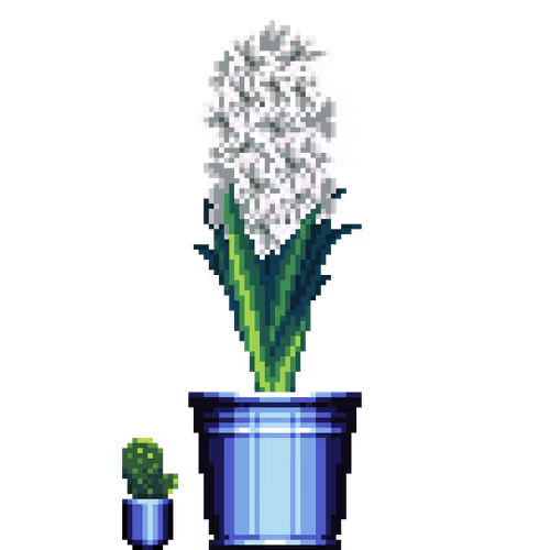 House Plants By Felt Zine