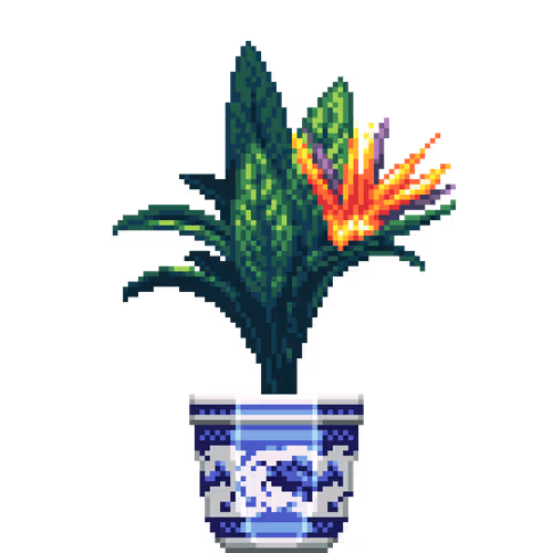 House Plants By Felt Zine