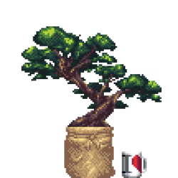 Juniper Bonsai in Burlap Sack pot with I Love NY Mug
