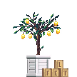 Lemon Tree in Wood Crate pot with Toy Cubes
