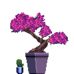 Azalea Bonsai in Square pot with Mini Prickly Pear Cactus