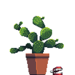 Bunny Ears Cactus in Square pot with Chattering Teeth