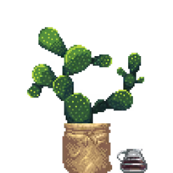 Bunny Ears Cactus in Burlap Sack pot with Coffee Pot