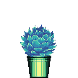Artichoke Agave in Bucket pot