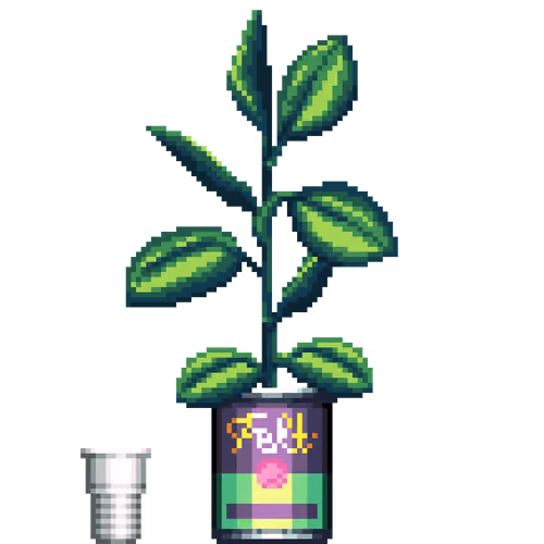 Rubber Plant in Eggplant Soup pot with Party Cup
