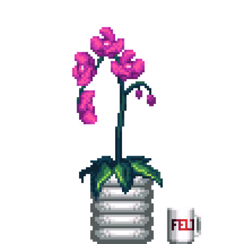 House Plants By Felt Zine