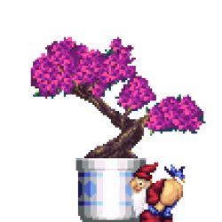 Azalea Bonsai in Large Pattern pot with Sexy Gnome