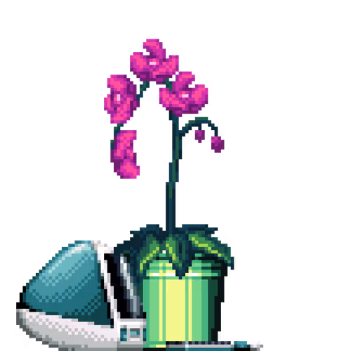 House Plants By Felt Zine