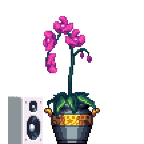 House Plants By Felt Zine