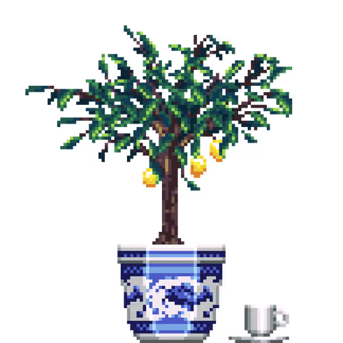 House Plants By Felt Zine