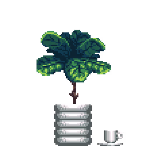 House Plants By Felt Zine