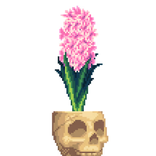 House Plants By Felt Zine