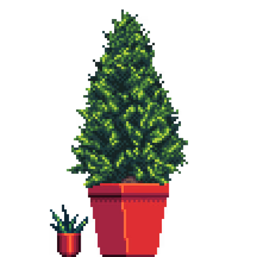 House Plants By Felt Zine