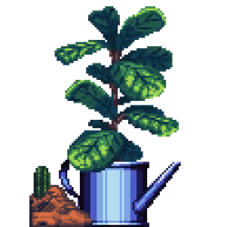 Fiddle-Leaf Fig in Watering Can pot with Mini Sneaker Planter
