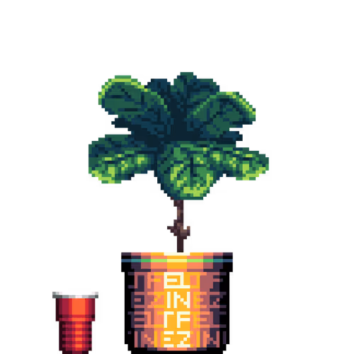 House Plants By Felt Zine
