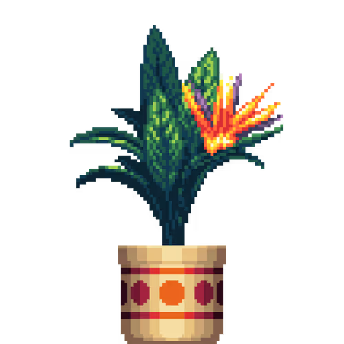 Bird of Paradise in Large Pattern pot
