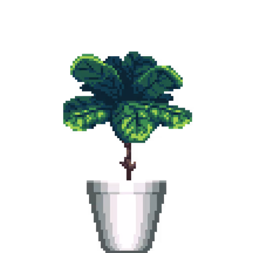 House Plants By Felt Zine