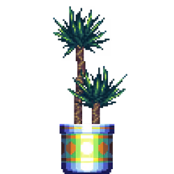 Yucca Palm in Large Premium Pattern pot