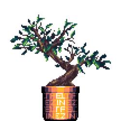Ficus Bonsai in Large Felt Zine pot