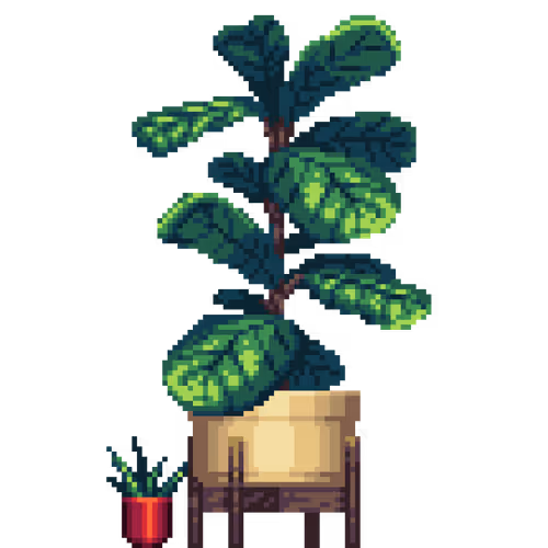 Fiddle-Leaf Fig in Elevated Wood pot with Mini Aloe