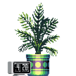 Areca Palm in Large Premium Pattern pot with Flip Clock