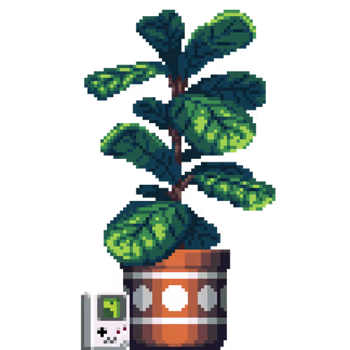 House Plants By Felt Zine