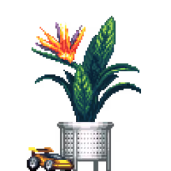 Bird of Paradise in White Rattan pot with Toy Car