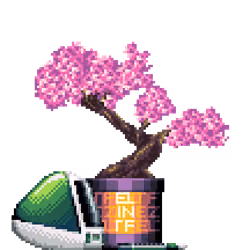 Cherry Bonsai in Large Felt Zine Two Tone pot with iMac