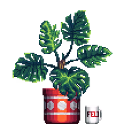 Monstera in Large Pattern pot with FELT Zine Mug