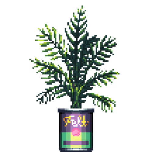 House Plants By Felt Zine