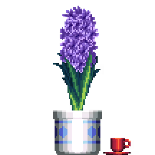 House Plants By Felt Zine