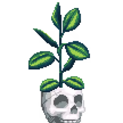 Rubber Plant in White Skull pot