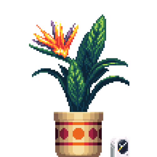 House Plants By Felt Zine