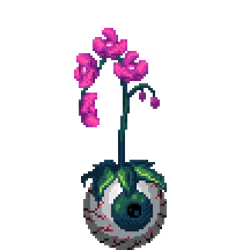 Purple Orchid in Eyeball pot