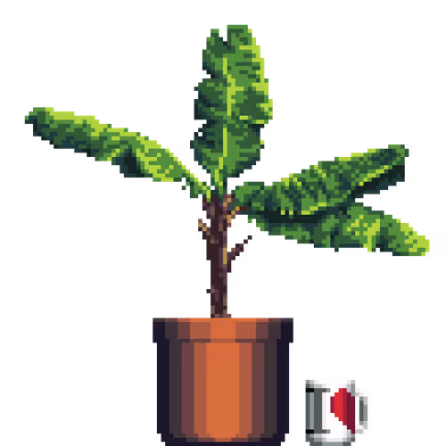 House Plants By Felt Zine