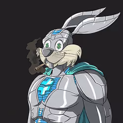 Dark Super Bunny #9042
