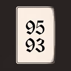9593 V4N1TY