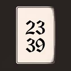 2339 V4N1TY
