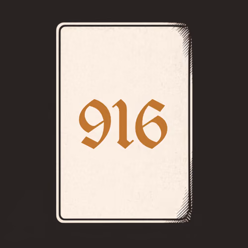 916 V4N1TY