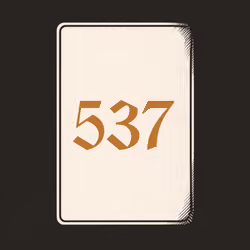 537 V4N1TY