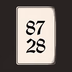 8728 V4N1TY