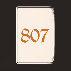807 V4N1TY