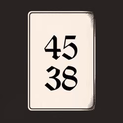 4538 V4N1TY