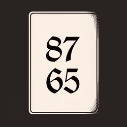 8765 V4N1TY