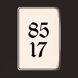 8517 V4N1TY