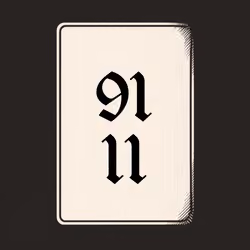 9111 V4N1TY